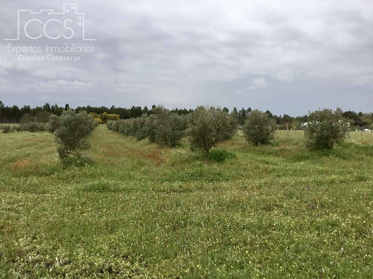 2 slaapkamer Finca/Landhuis te koop in Almonte - € 75.000 (Ref: 8661891)