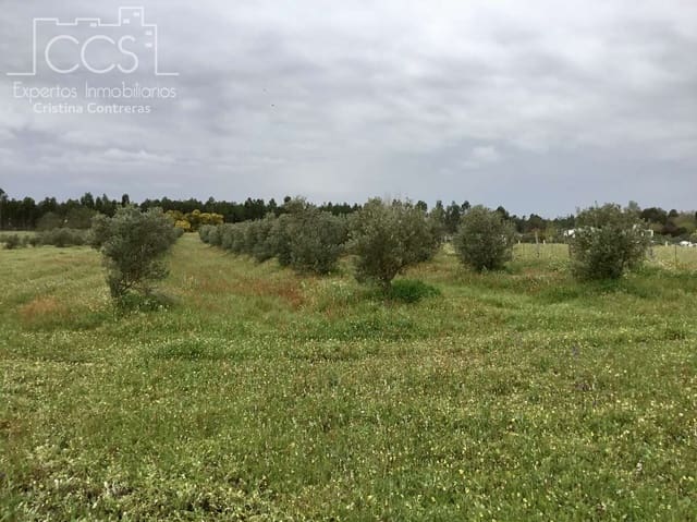 2 bedroom Finca/Country House for sale in Almonte - € 75,000 (Ref: 8661891)