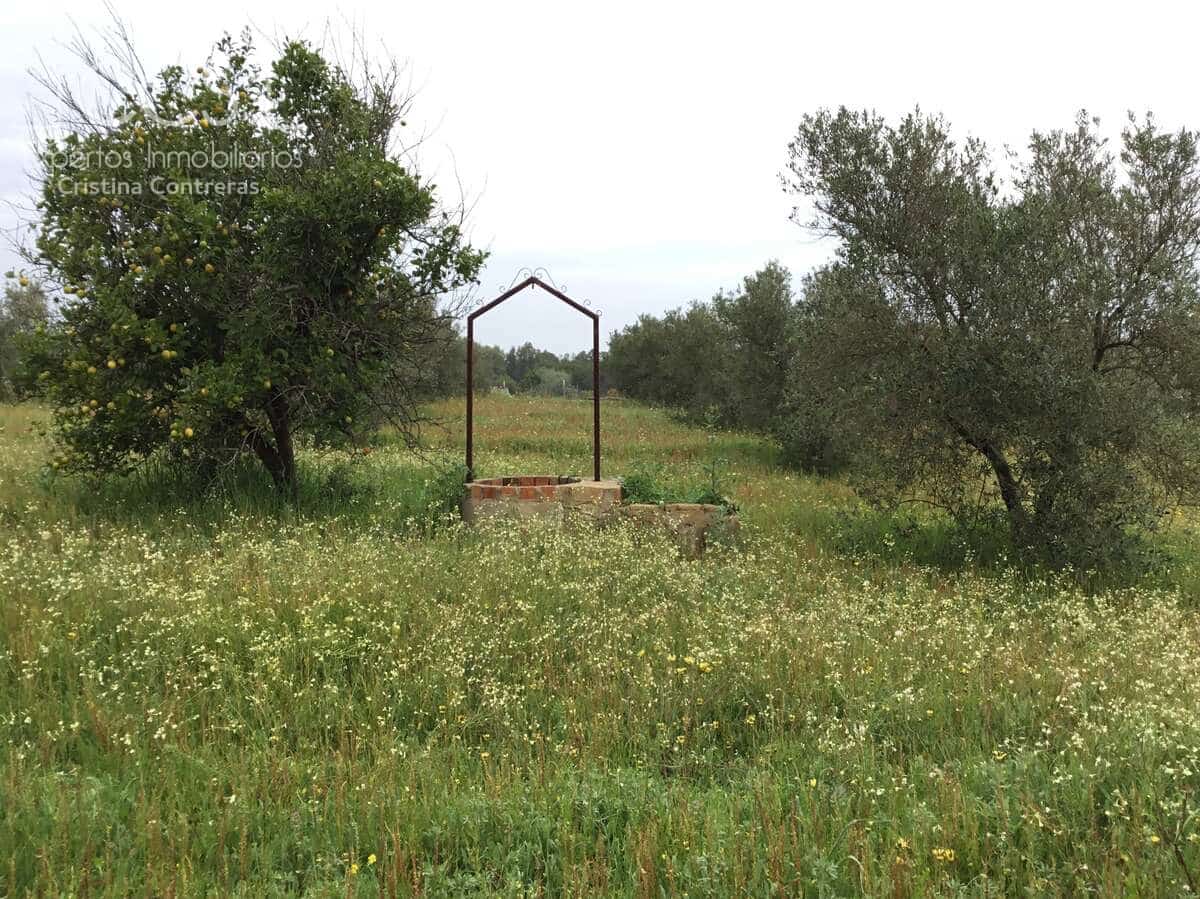 2 slaapkamer Finca/Landhuis te koop in Almonte - € 75.000 (Ref: 8661891)