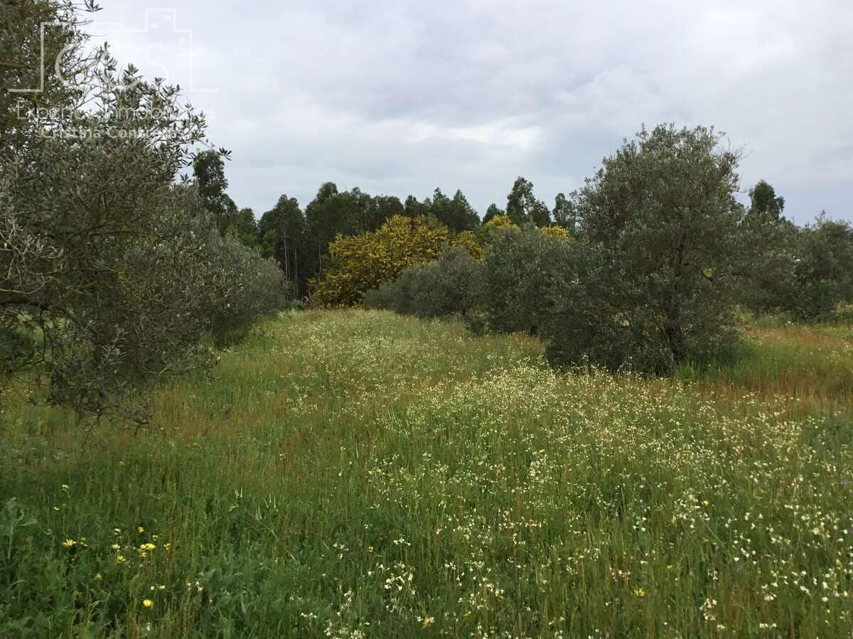 2 slaapkamer Finca/Landhuis te koop in Almonte - € 75.000 (Ref: 8661891)