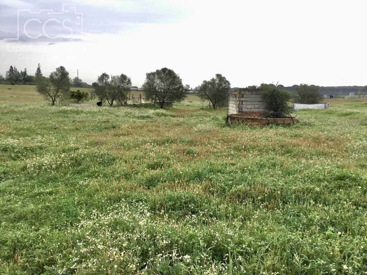 2 slaapkamer Finca/Landhuis te koop in Almonte - € 75.000 (Ref: 8661891)