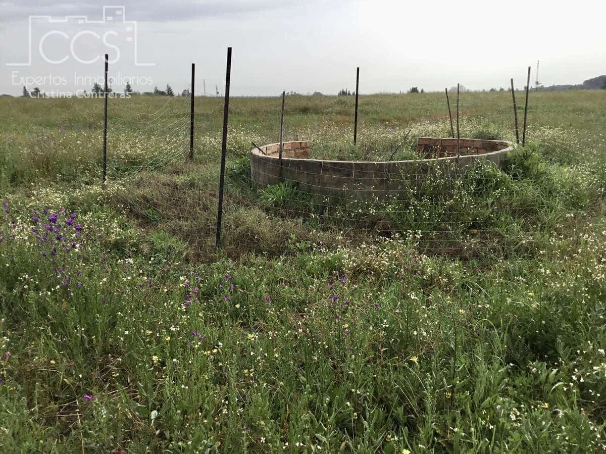 2 slaapkamer Finca/Landhuis te koop in Almonte - € 75.000 (Ref: 8661891)