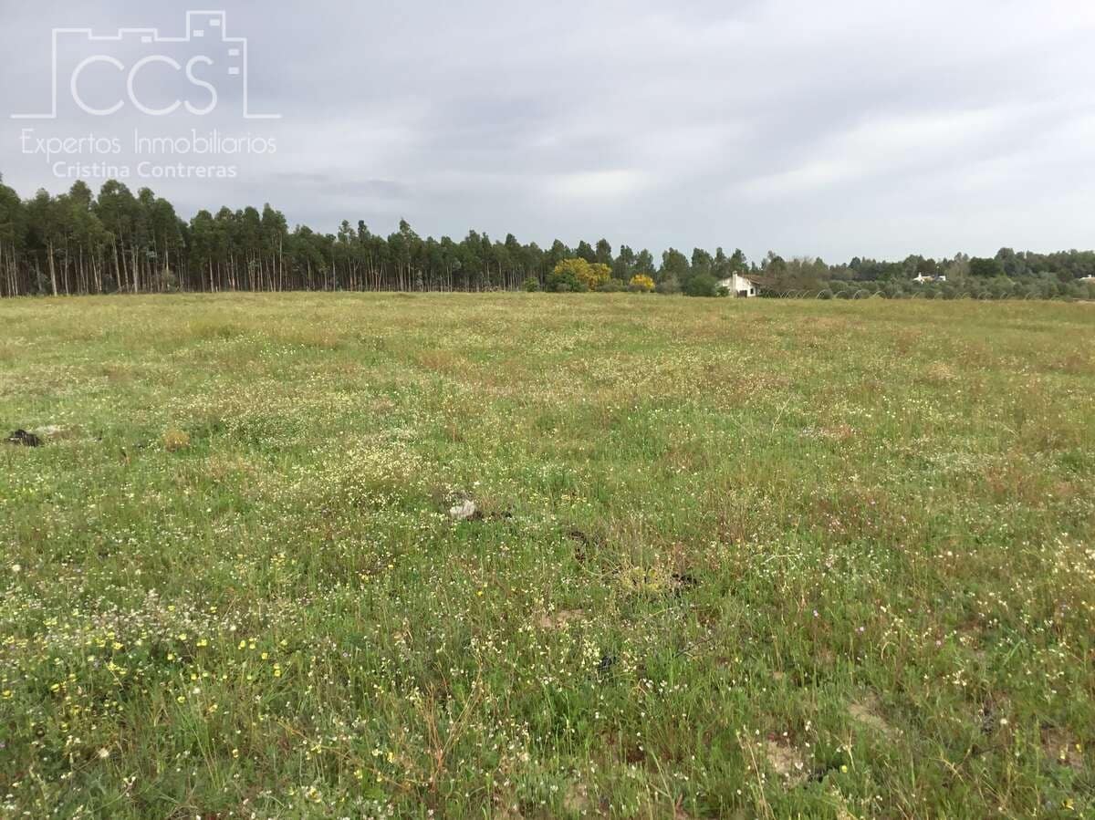 2 slaapkamer Finca/Landhuis te koop in Almonte - € 75.000 (Ref: 8661891)