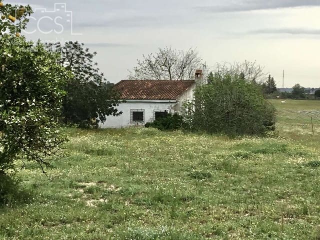 2 bedroom Finca/Country House for sale in Almonte - € 75,000 (Ref: 8661891)