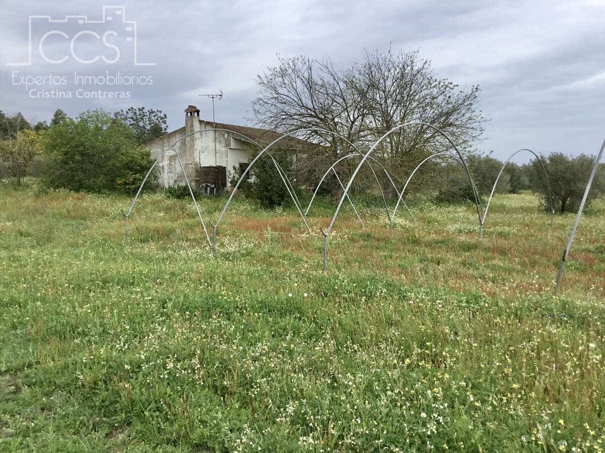 2 slaapkamer Finca/Landhuis te koop in Almonte - € 75.000 (Ref: 8661891)