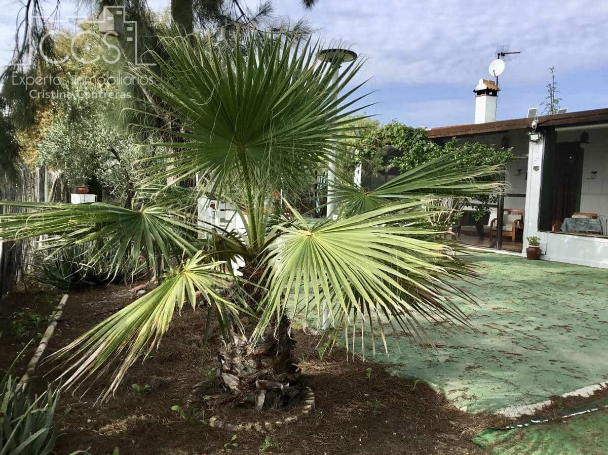 3 sovrum Finca/Hus på landet till salu i Almonte med pool - 156 000 € (Ref: 8684458)