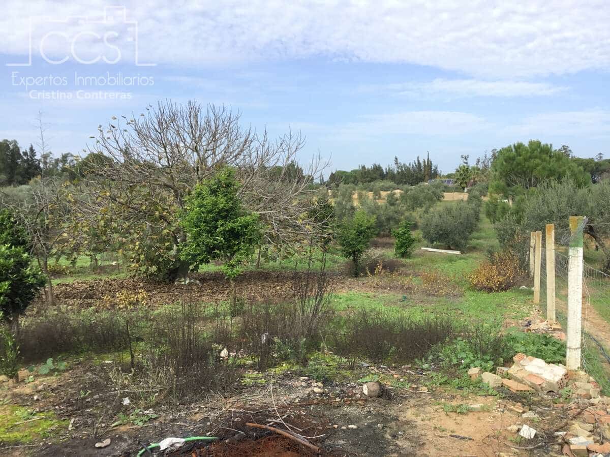 3 sovrum Finca/Hus på landet till salu i Almonte med pool - 156 000 € (Ref: 8684458)