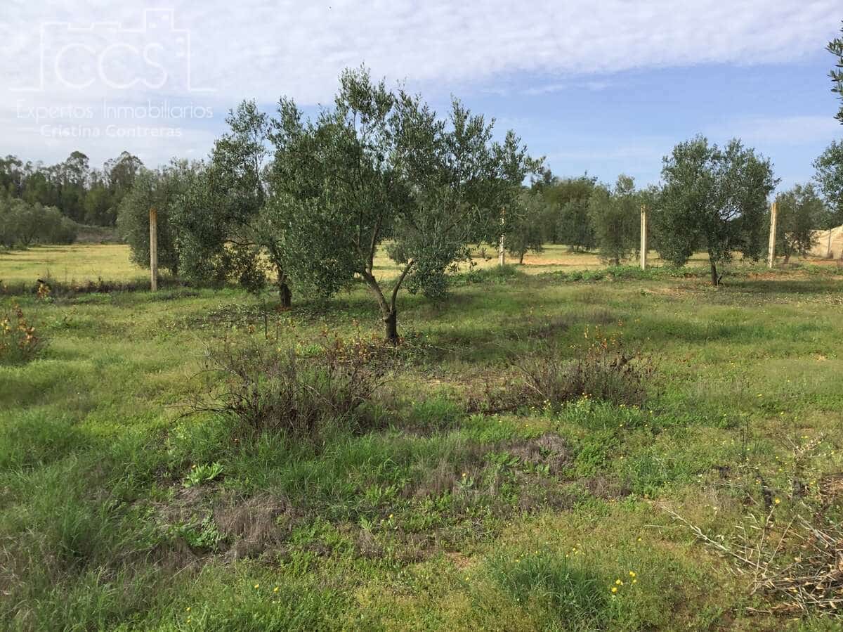 3 sovrum Finca/Hus på landet till salu i Almonte med pool - 156 000 € (Ref: 8684458)