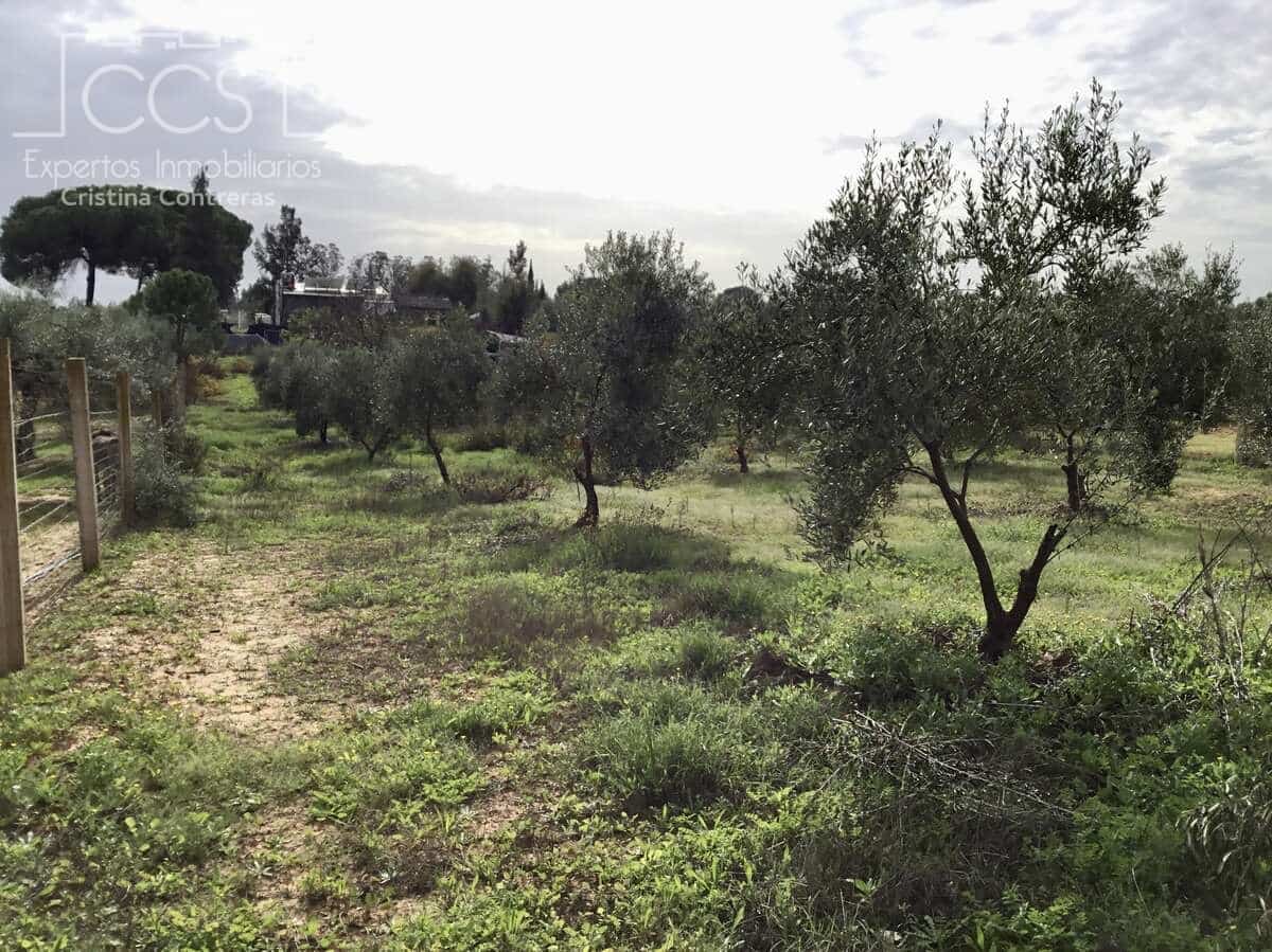 3 sovrum Finca/Hus på landet till salu i Almonte med pool - 156 000 € (Ref: 8684458)