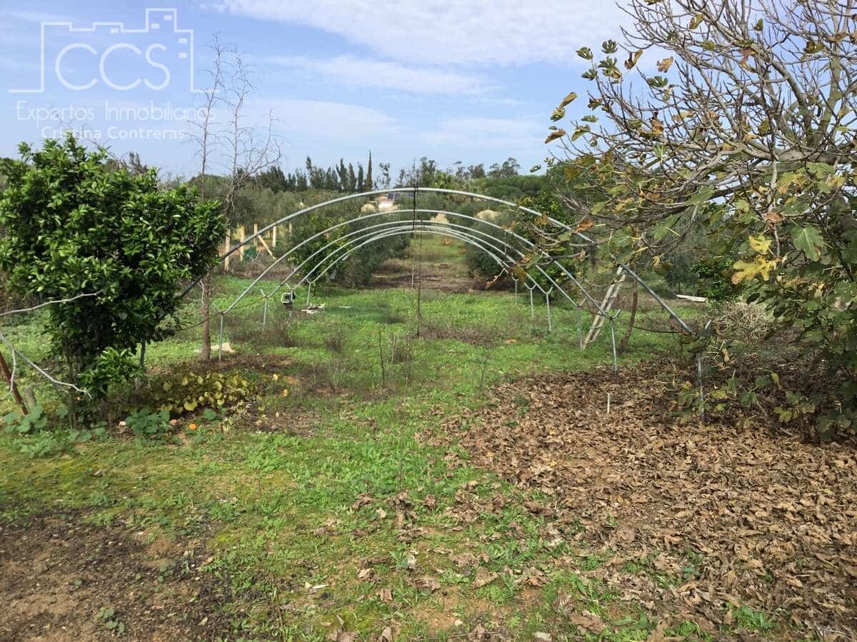 3 sovrum Finca/Hus på landet till salu i Almonte med pool - 156 000 € (Ref: 8684458)