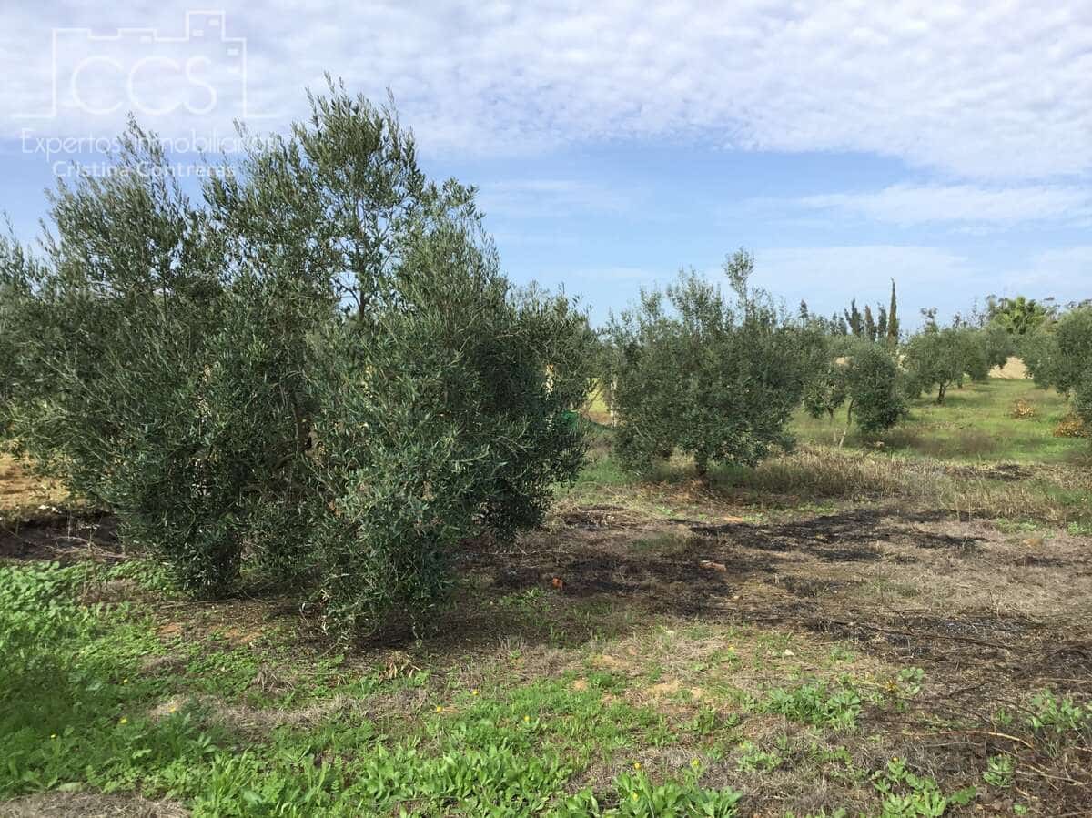 3 sovrum Finca/Hus på landet till salu i Almonte med pool - 156 000 € (Ref: 8684458)