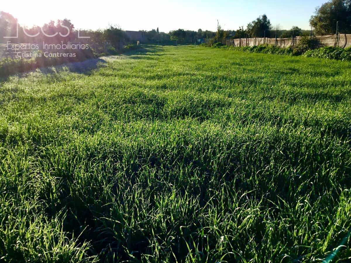 4 soveværelse Finca/Landehus til salg i Pilas - € 150.000 (Ref: 8750157)