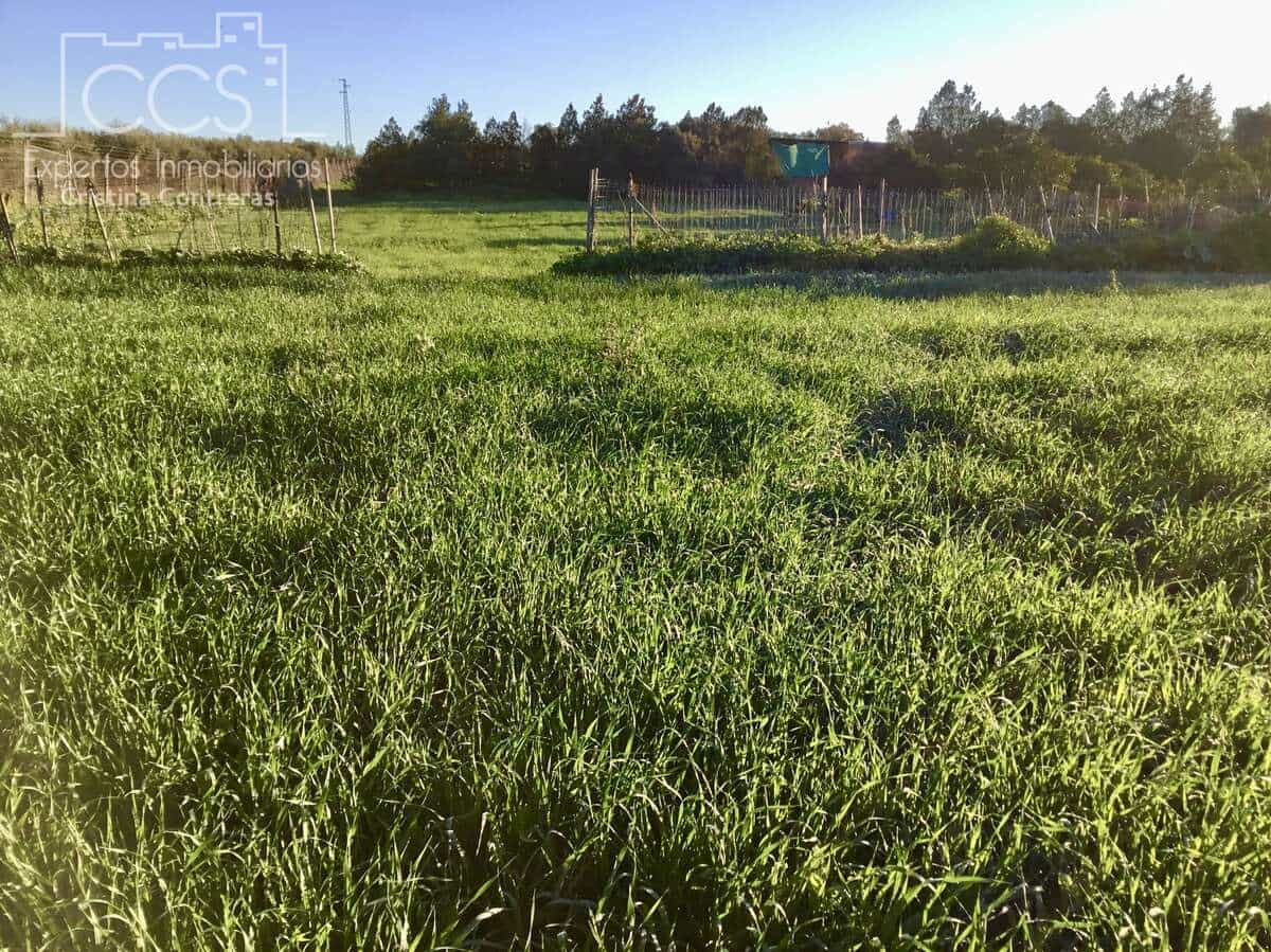 4 soveværelse Finca/Landehus til salg i Pilas - € 150.000 (Ref: 8750157)