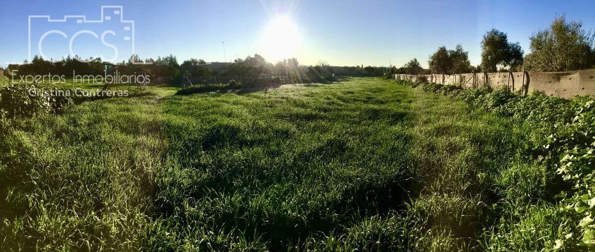 4 soveværelse Finca/Landehus til salg i Pilas - € 150.000 (Ref: 8750157)