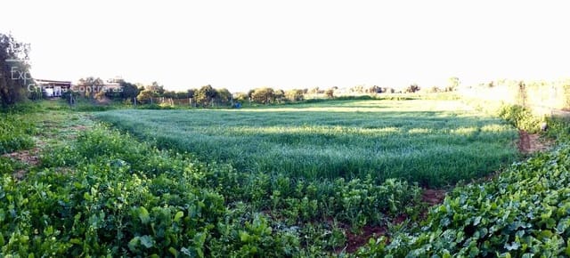 4 bedroom Finca/Country House for sale in Pilas - € 150,000 (Ref: 8750157)