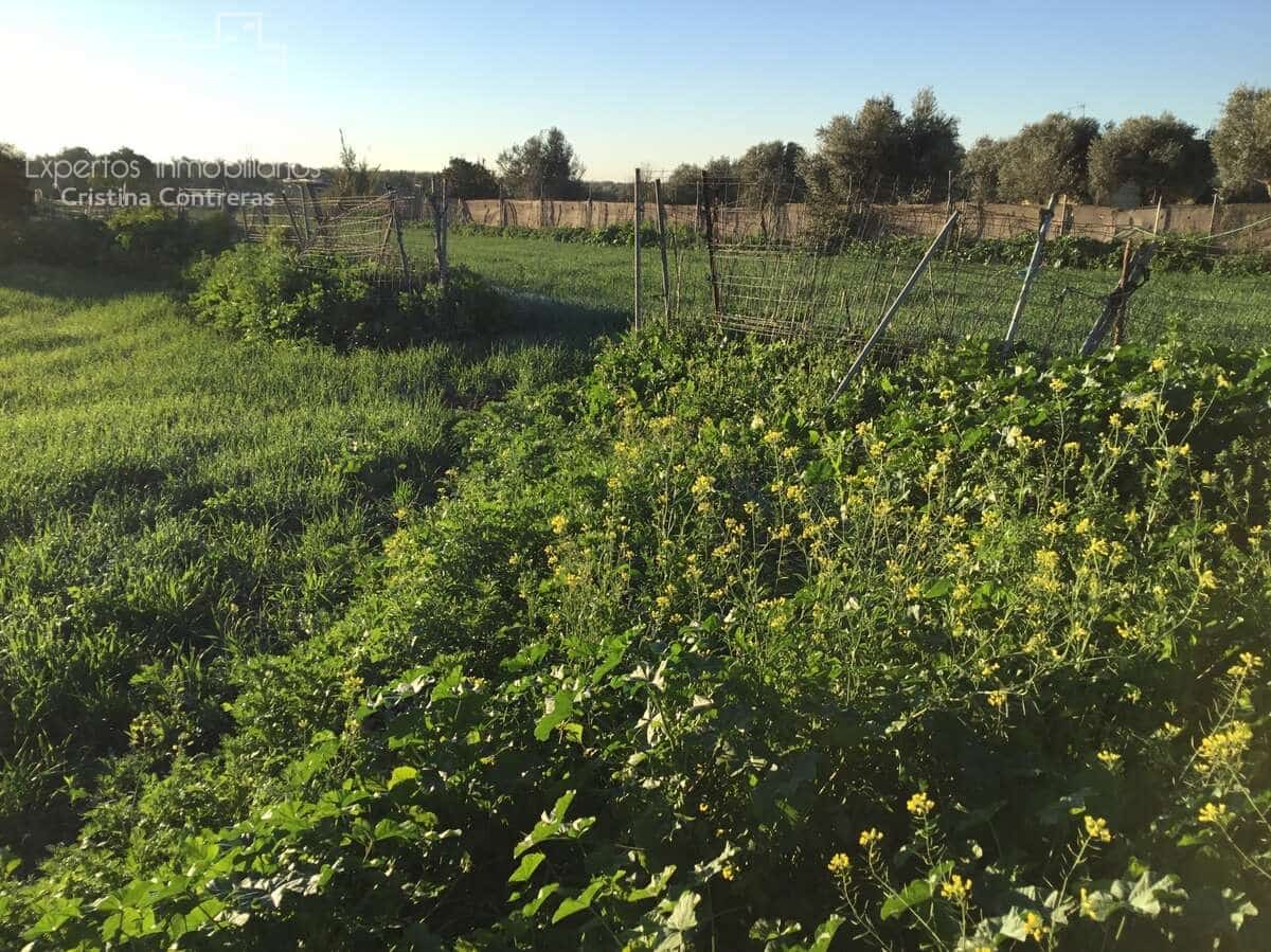 4 soveværelse Finca/Landehus til salg i Pilas - € 150.000 (Ref: 8750157)