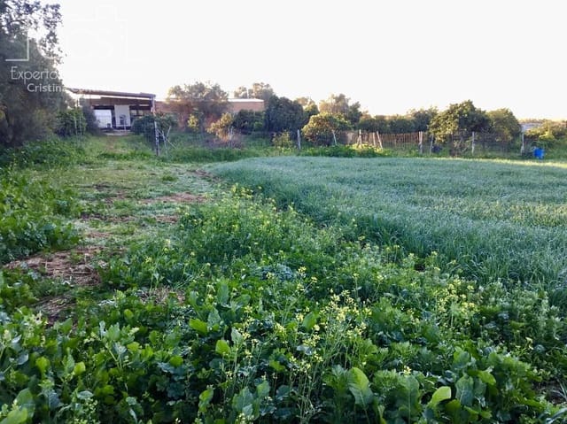 4 bedroom Finca/Country House for sale in Pilas - € 150,000 (Ref: 8750157)