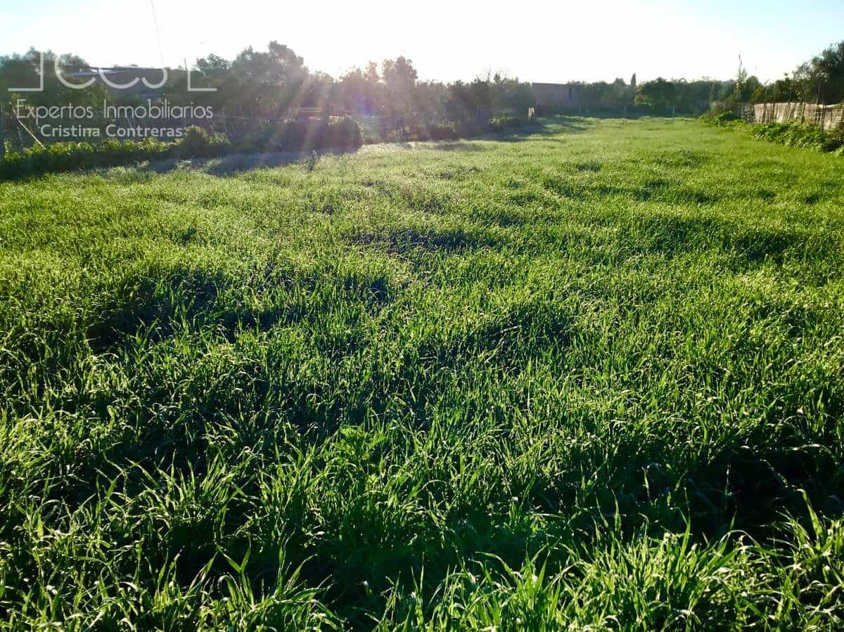 4 soveværelse Finca/Landehus til salg i Pilas - € 150.000 (Ref: 8750157)