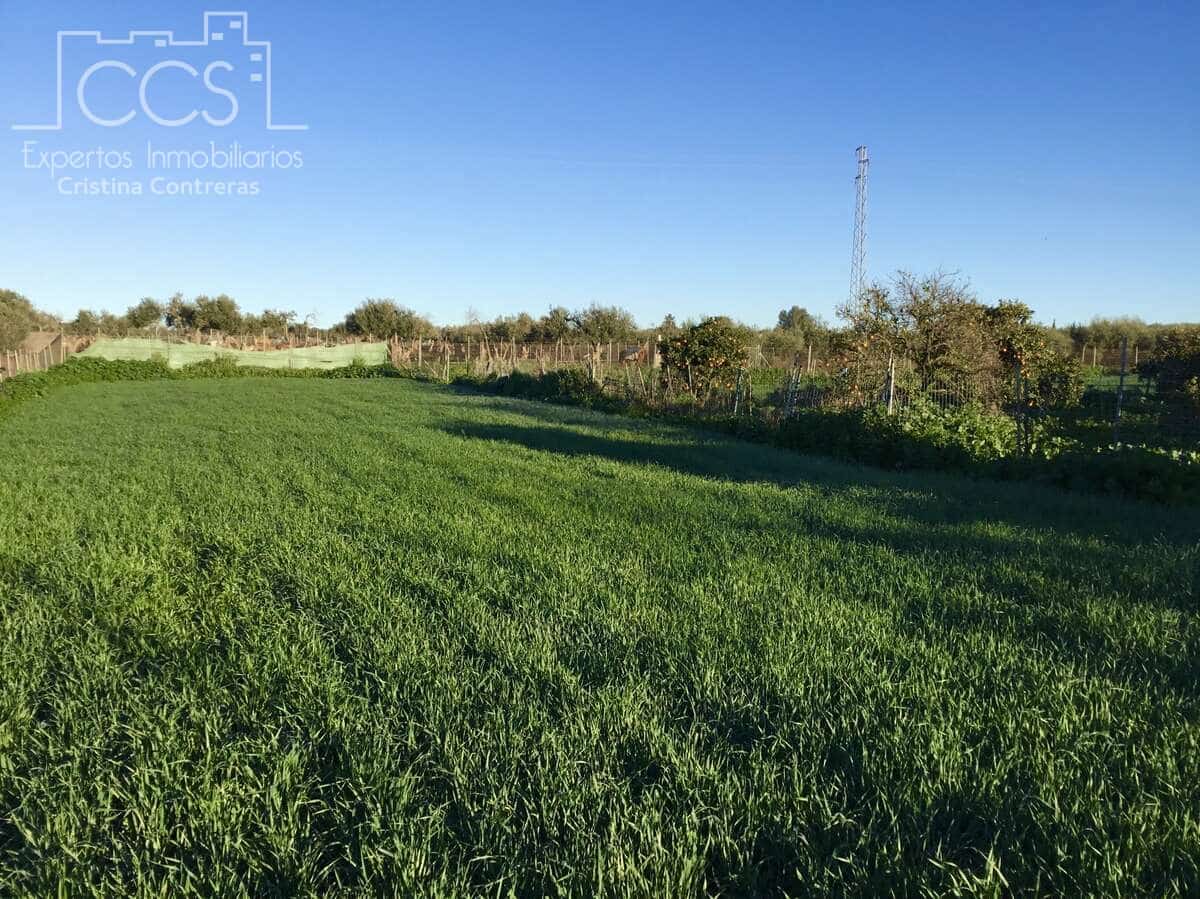 4 soveværelse Finca/Landehus til salg i Pilas - € 150.000 (Ref: 8750157)