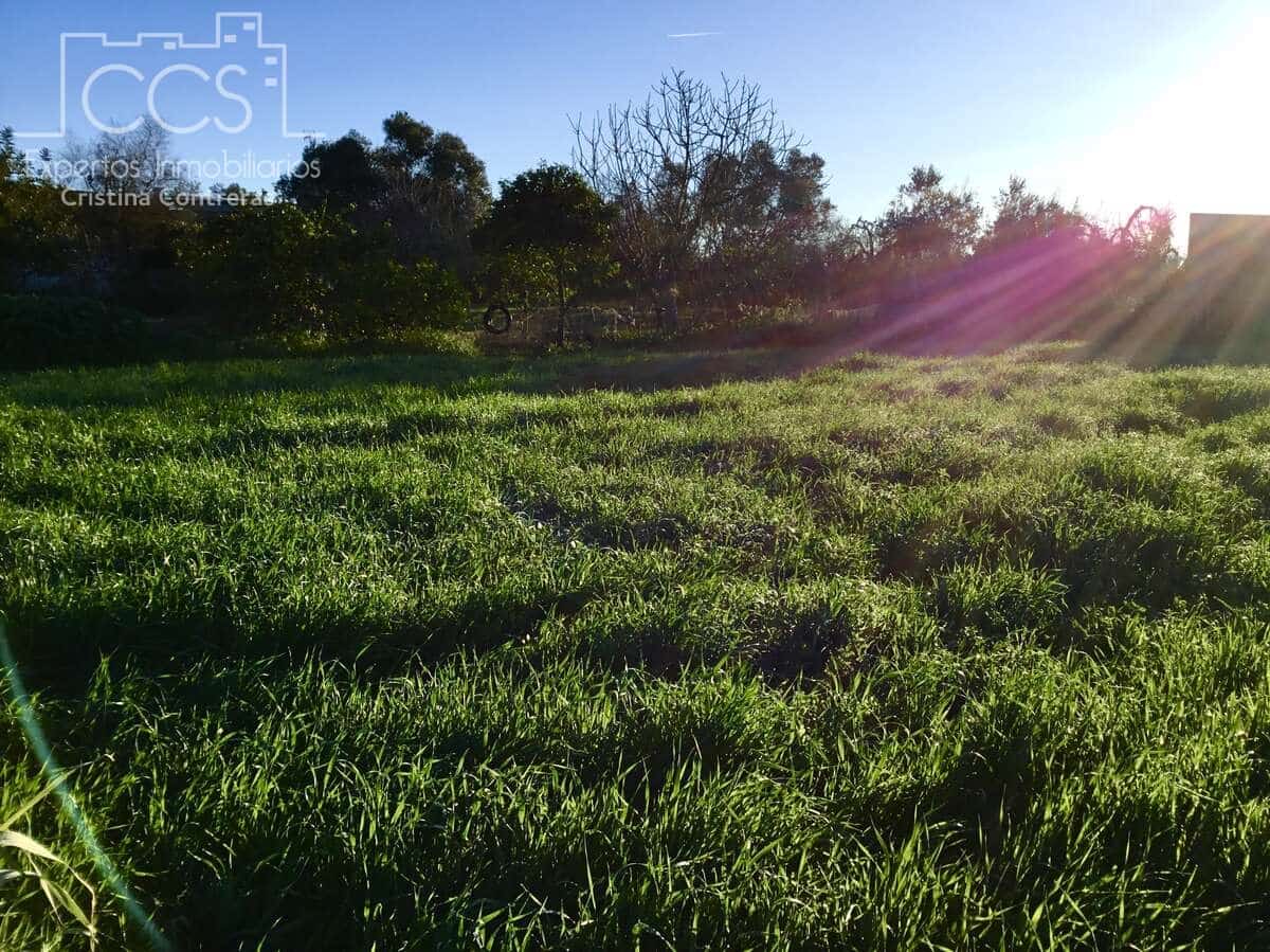 4 soveværelse Finca/Landehus til salg i Pilas - € 150.000 (Ref: 8750157)