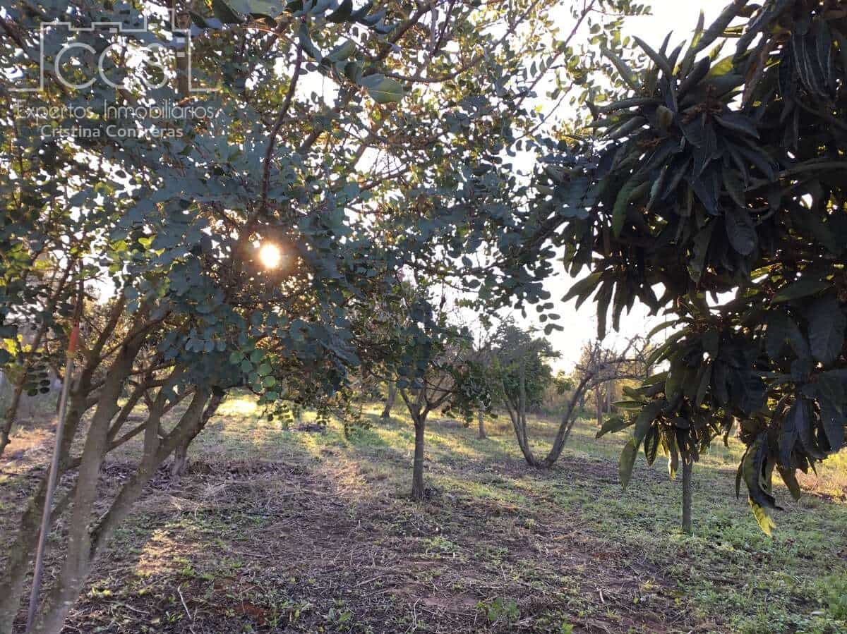 4 soveværelse Finca/Landehus til salg i Pilas - € 150.000 (Ref: 8750157)