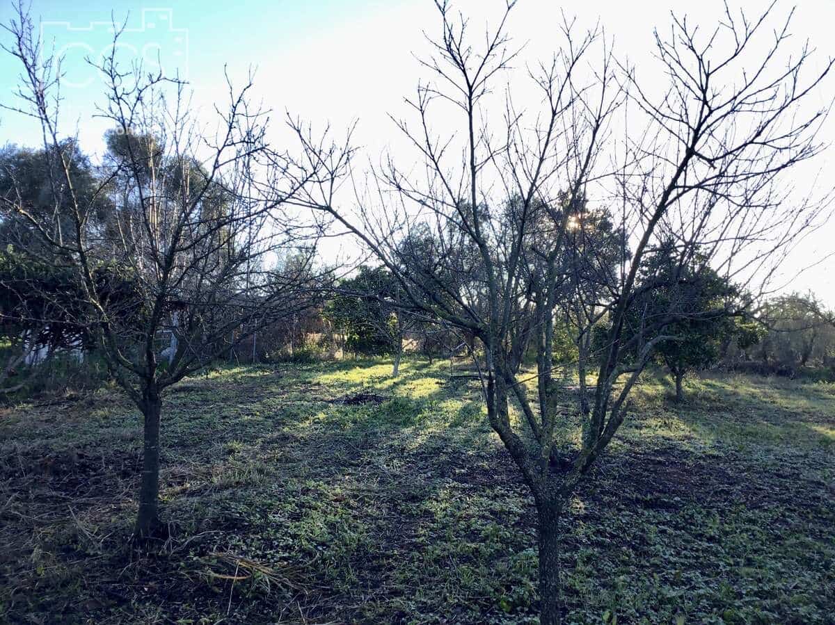 4 soveværelse Finca/Landehus til salg i Pilas - € 150.000 (Ref: 8750157)