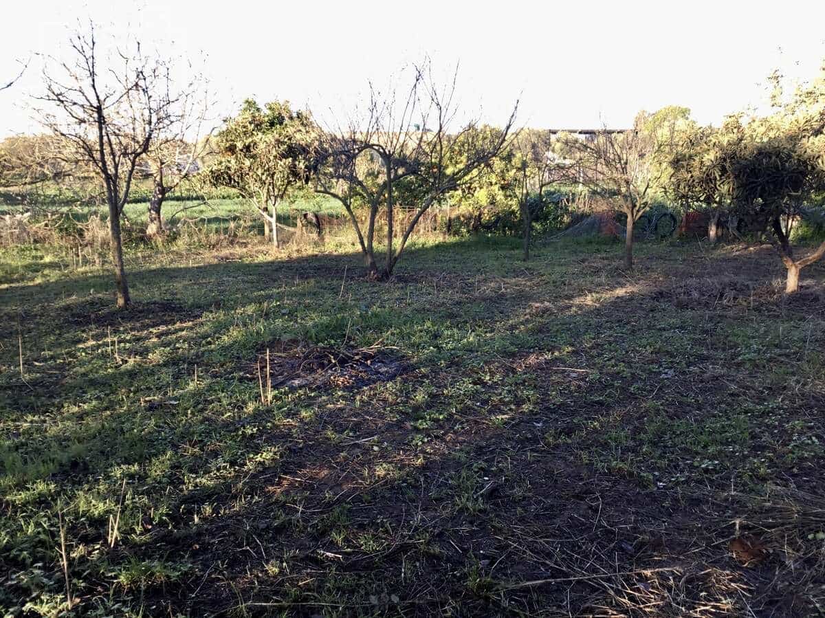 4 soveværelse Finca/Landehus til salg i Pilas - € 150.000 (Ref: 8750157)