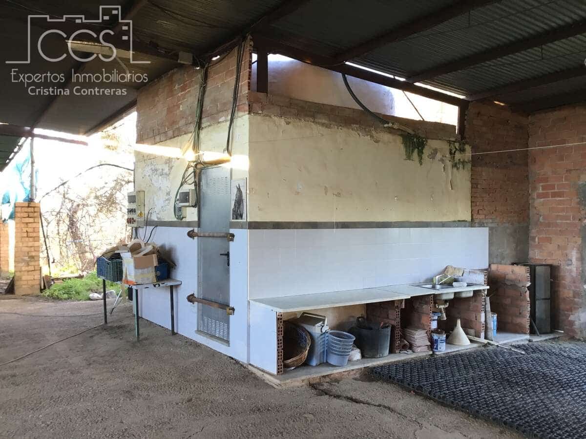 4 soveværelse Finca/Landehus til salg i Pilas - € 150.000 (Ref: 8750157)