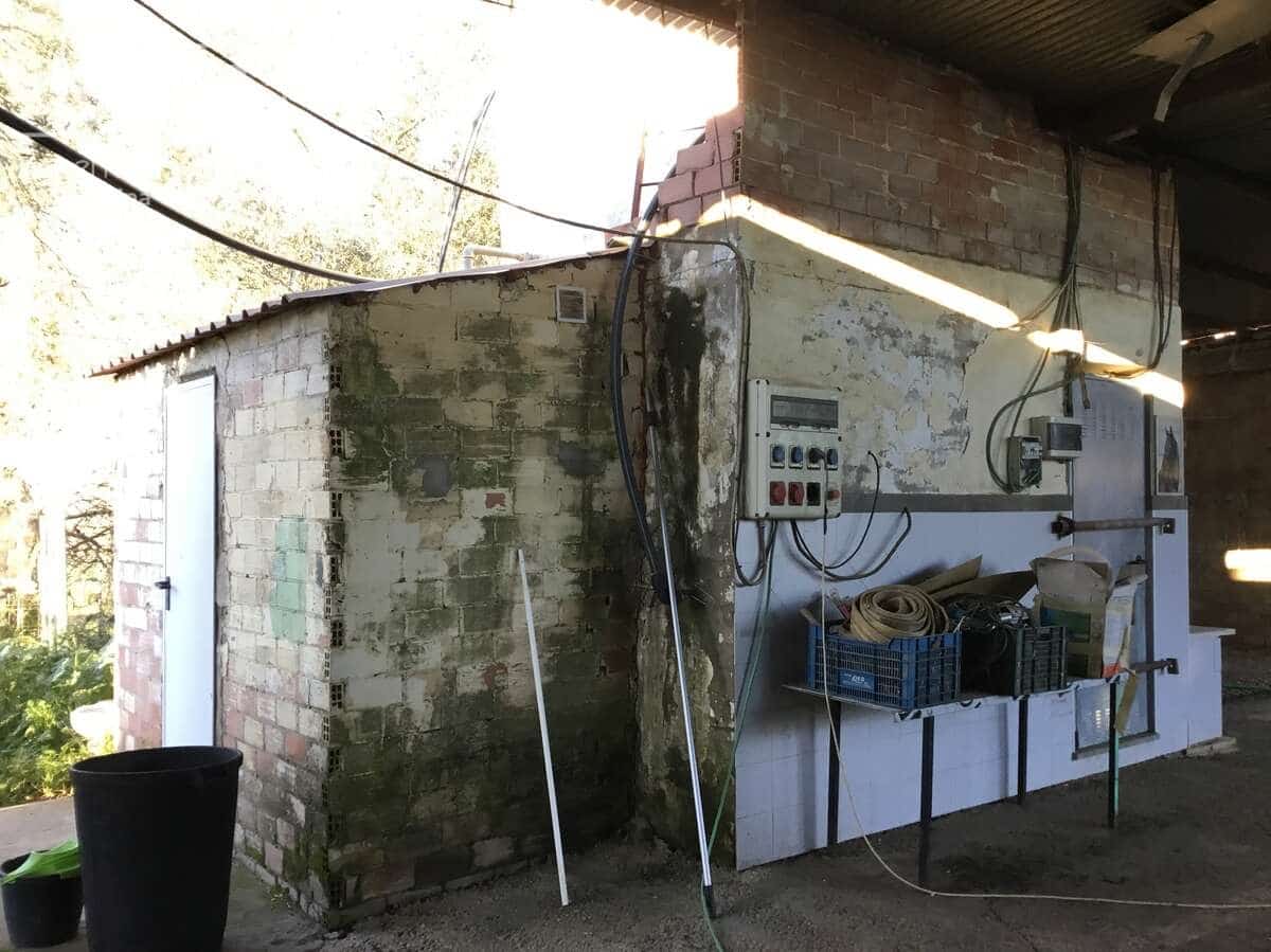 4 soveværelse Finca/Landehus til salg i Pilas - € 150.000 (Ref: 8750157)