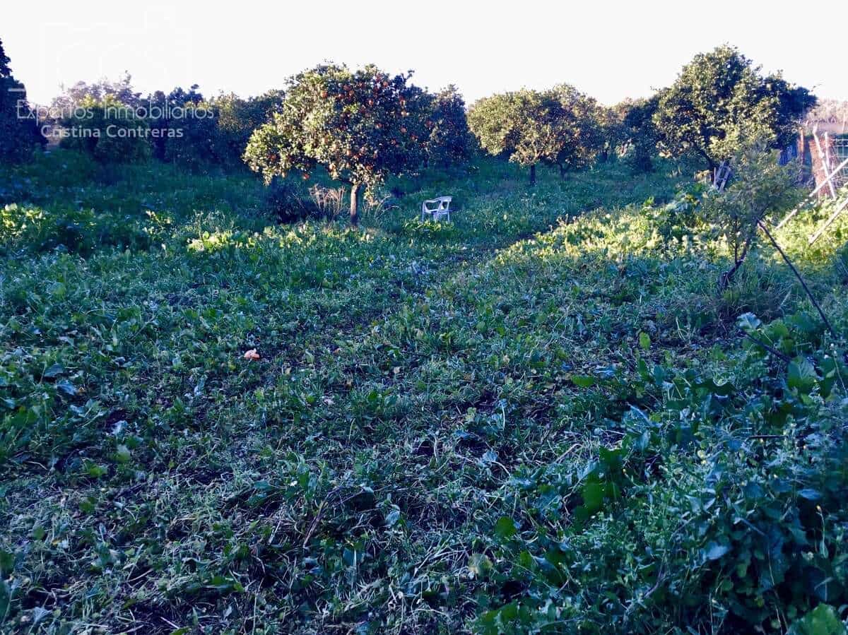 4 soveværelse Finca/Landehus til salg i Pilas - € 150.000 (Ref: 8750157)