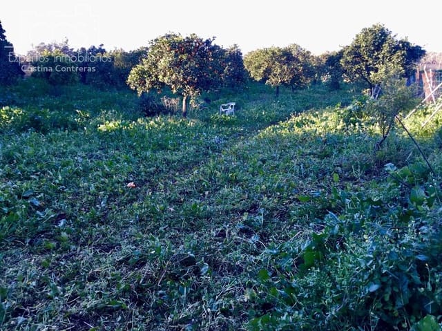 4 bedroom Finca/Country House for sale in Pilas - € 150,000 (Ref: 8750157)