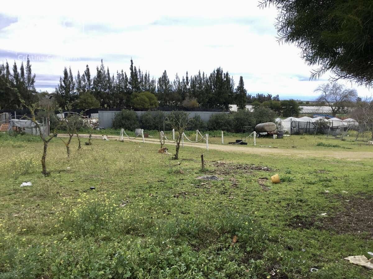 3 makuuhuone Maalaistalo myytävänä paikassa Almonte mukana uima-altaan - 180 000 € (Ref: 8804035)