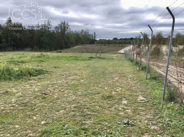 3 sovrum Finca/Hus på landet till salu i Almonte med pool - 180 000 € (Ref: 8804035)