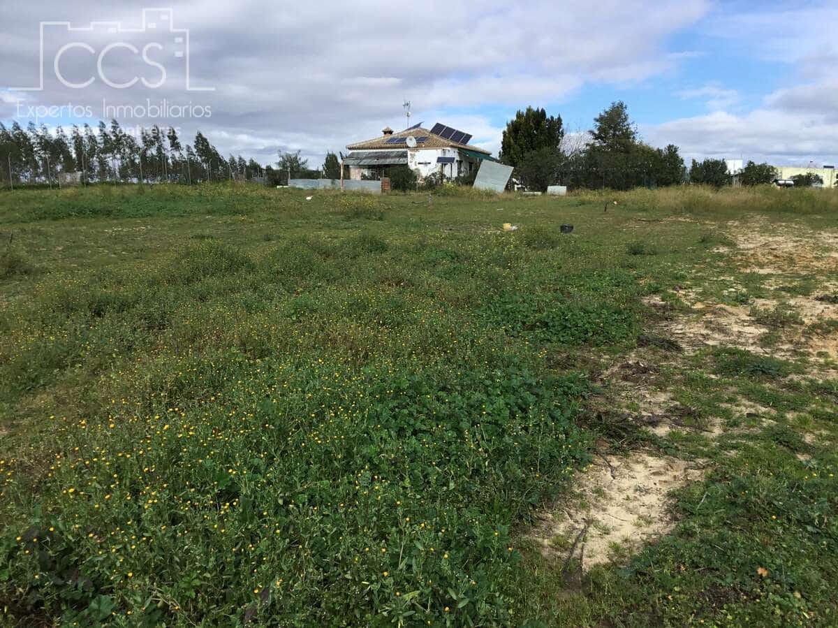 3 makuuhuone Maalaistalo myytävänä paikassa Almonte mukana uima-altaan - 180 000 € (Ref: 8804035)