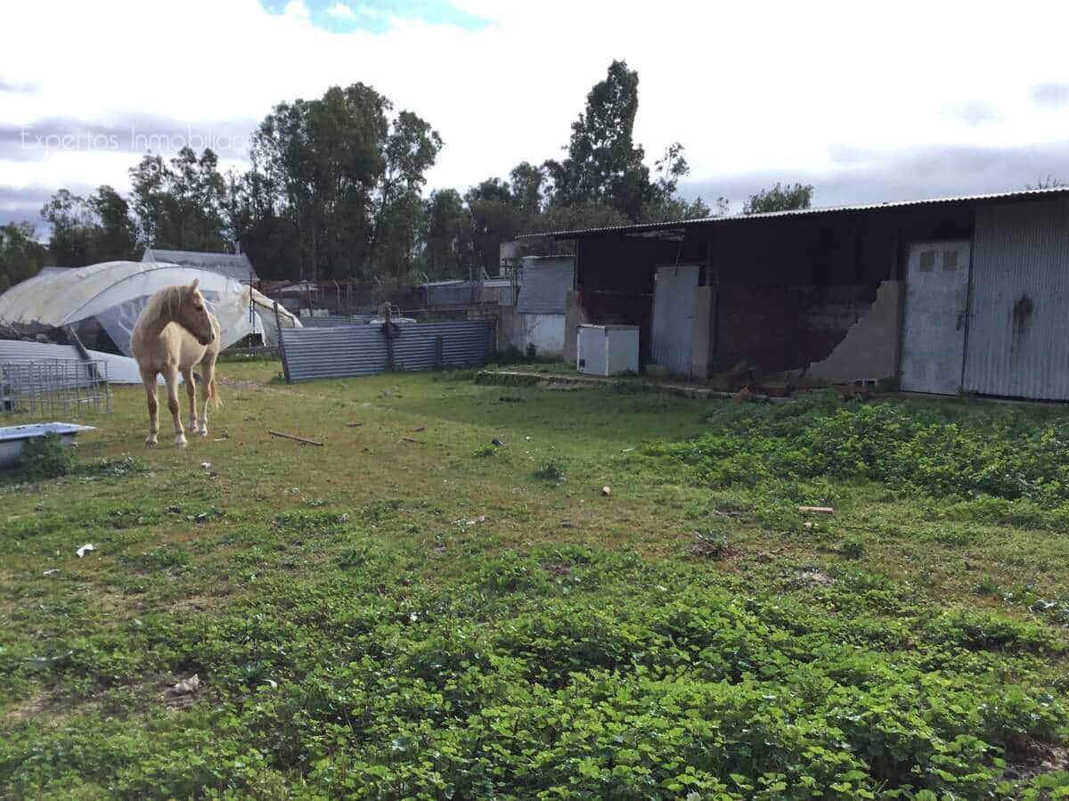 3 makuuhuone Maalaistalo myytävänä paikassa Almonte mukana uima-altaan - 180 000 € (Ref: 8804035)