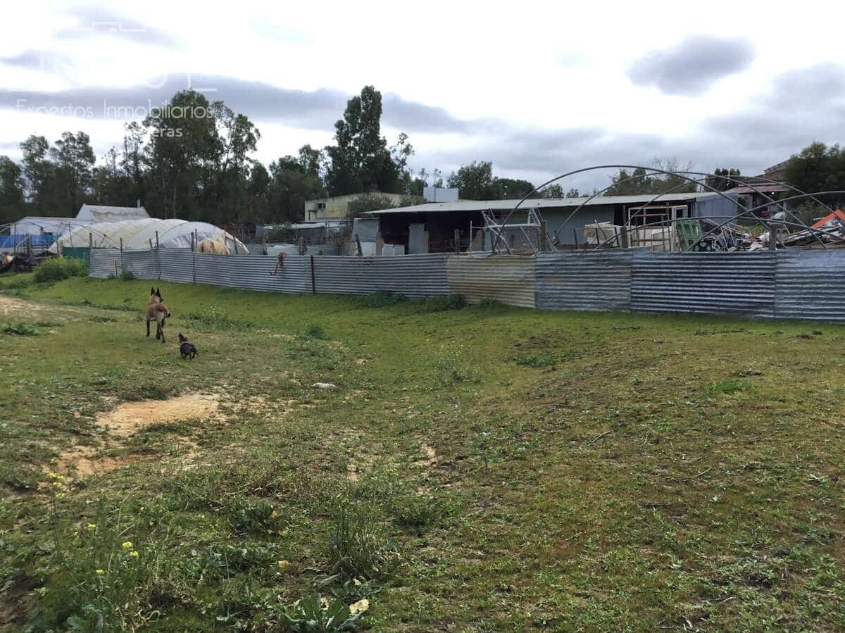 3 makuuhuone Maalaistalo myytävänä paikassa Almonte mukana uima-altaan - 180 000 € (Ref: 8804035)