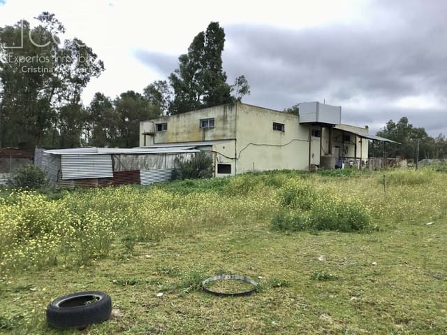 3 sovrum Finca/Hus på landet till salu i Almonte med pool - 180 000 € (Ref: 8804035)