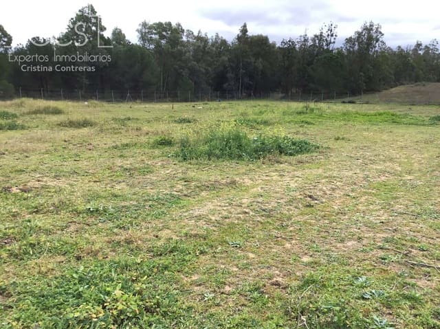 3 sovrum Finca/Hus på landet till salu i Almonte med pool - 180 000 € (Ref: 8804035)