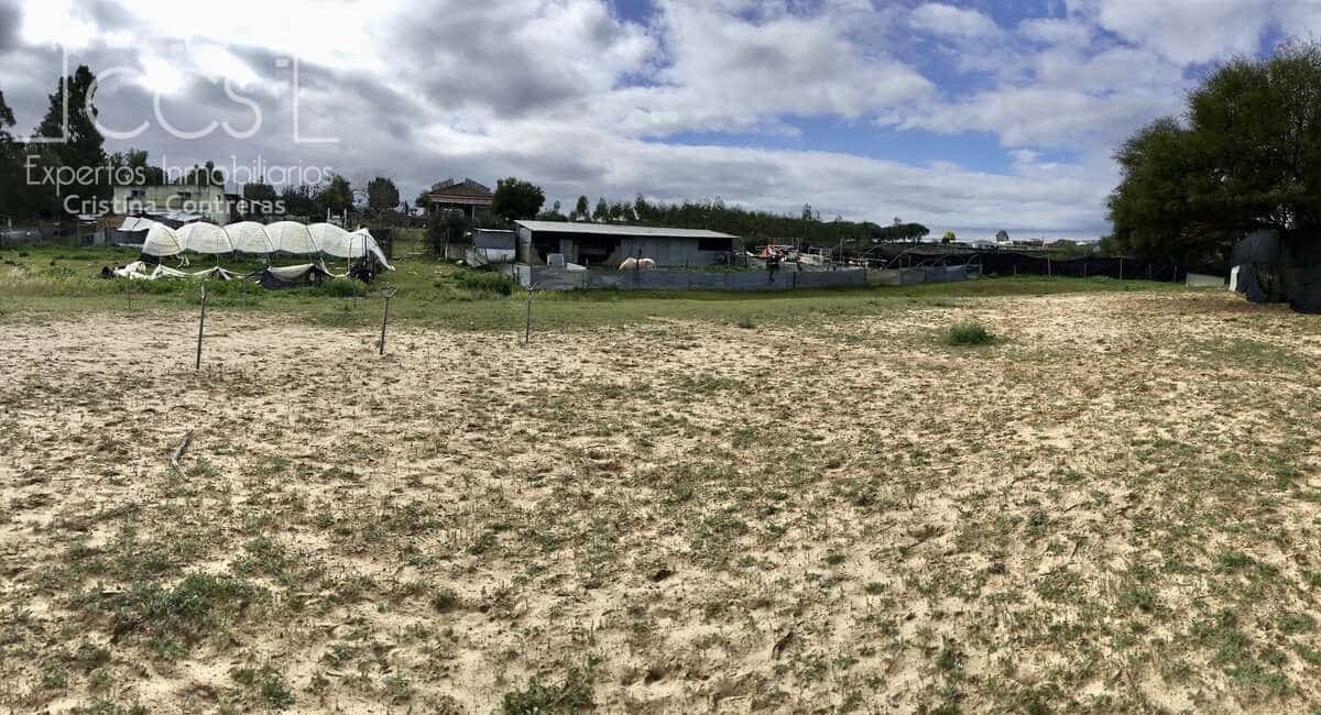 3 makuuhuone Maalaistalo myytävänä paikassa Almonte mukana uima-altaan - 180 000 € (Ref: 8804035)