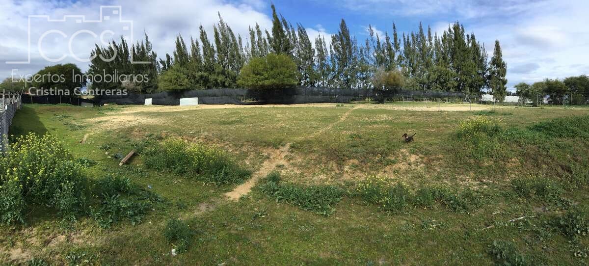 3 soverom Finca/Herregård til salgs i Almonte med svømmebasseng - € 180 000 (Ref: 8804035)