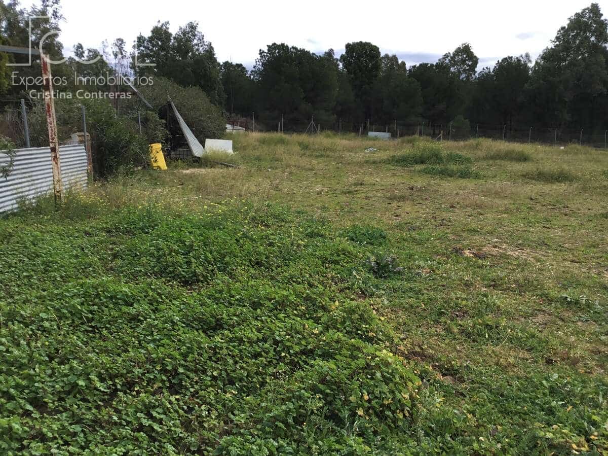 3 soverom Finca/Herregård til salgs i Almonte med svømmebasseng - € 180 000 (Ref: 8804035)