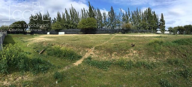 3 soverom Finca/Herregård til salgs i Almonte med svømmebasseng - € 180 000 (Ref: 8804035)