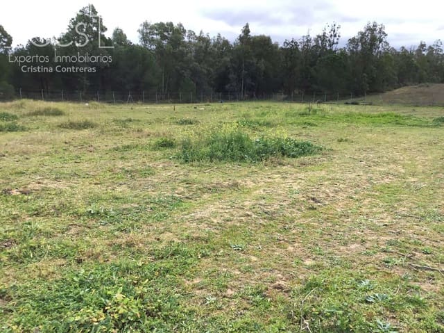3 soverom Finca/Herregård til salgs i Almonte med svømmebasseng - € 180 000 (Ref: 8804035)