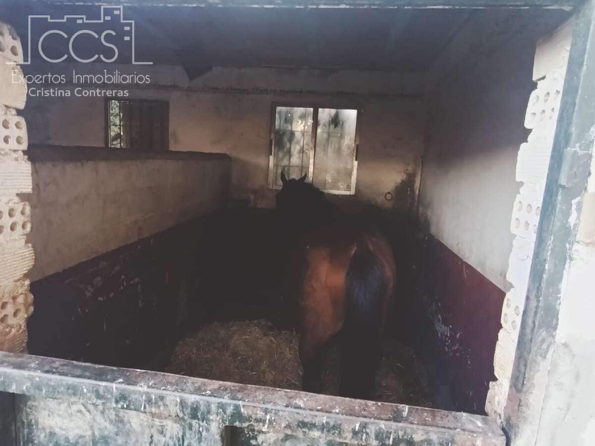 3 soveværelse Villa til salg i Carmona med swimmingpool - € 220.000 (Ref: 8816951)