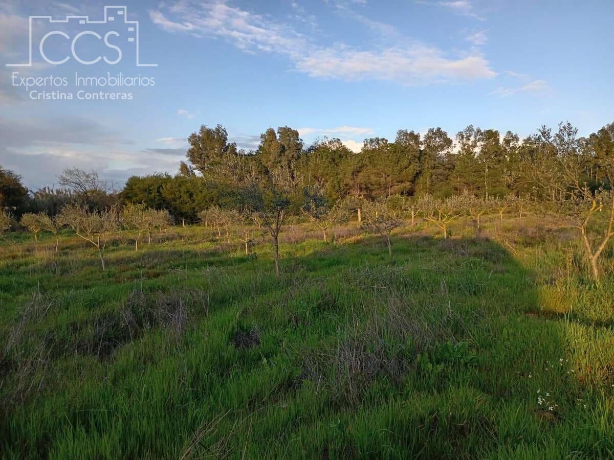 1 bedroom Finca/Country House for sale in Almonte - € 70,000 (Ref: 8931788)