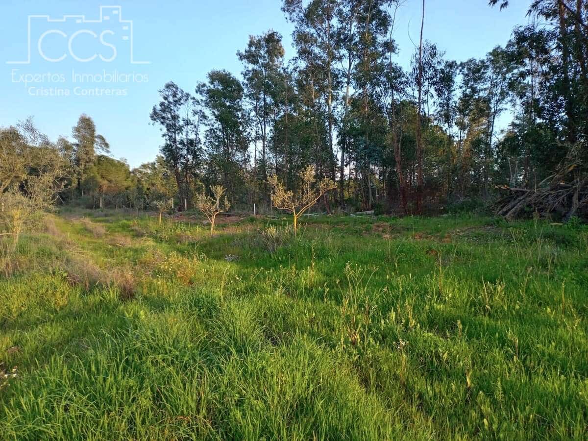 1 bedroom Finca/Country House for sale in Almonte - € 70,000 (Ref: 8931788)