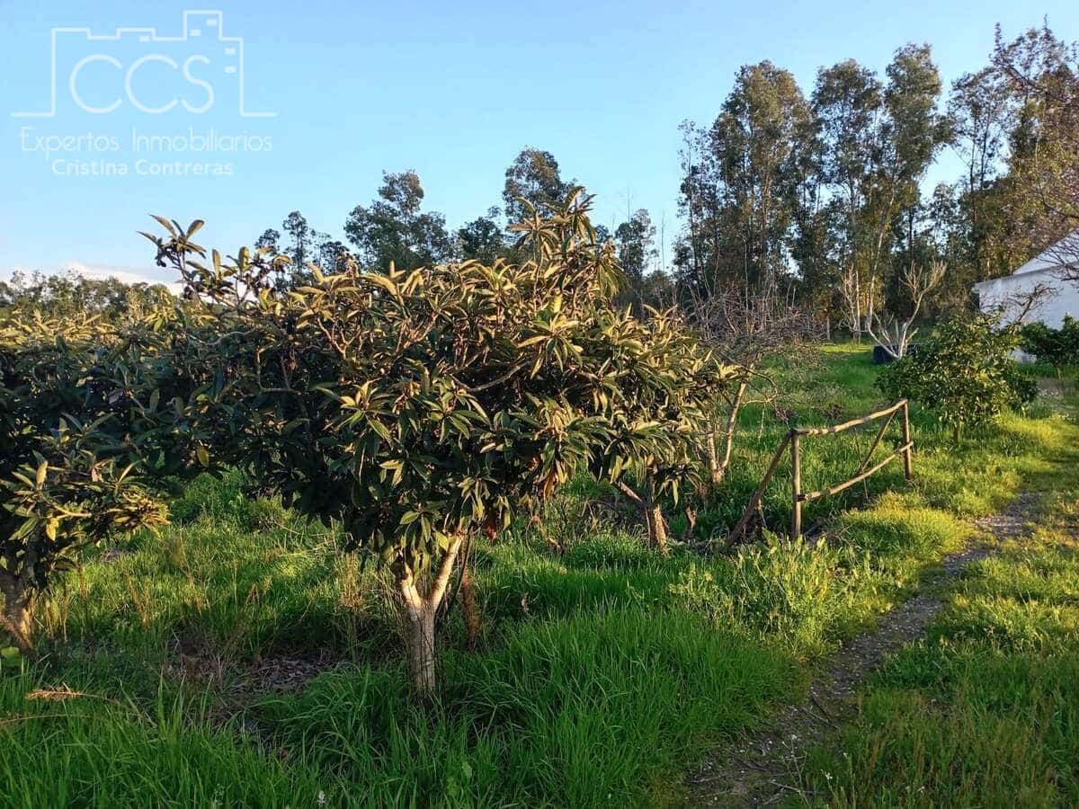 1 bedroom Finca/Country House for sale in Almonte - € 70,000 (Ref: 8931788)