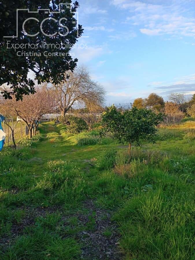 1 bedroom Finca/Country House for sale in Almonte - € 70,000 (Ref: 8931788)