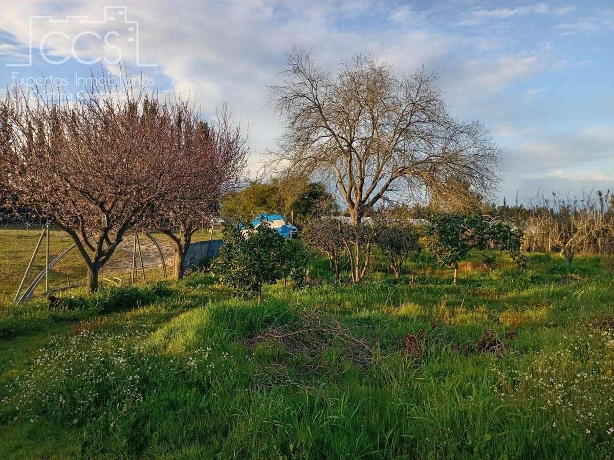 1 bedroom Finca/Country House for sale in Almonte - € 70,000 (Ref: 8931788)