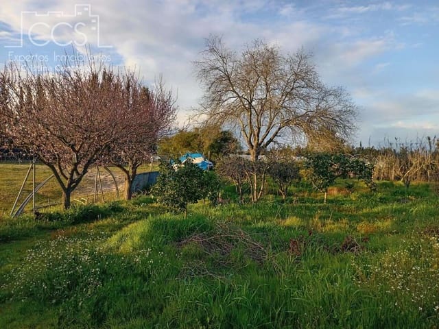 1 sovrum Finca/Hus på landet till salu i Almonte - 70 000 € (Ref: 8931788)